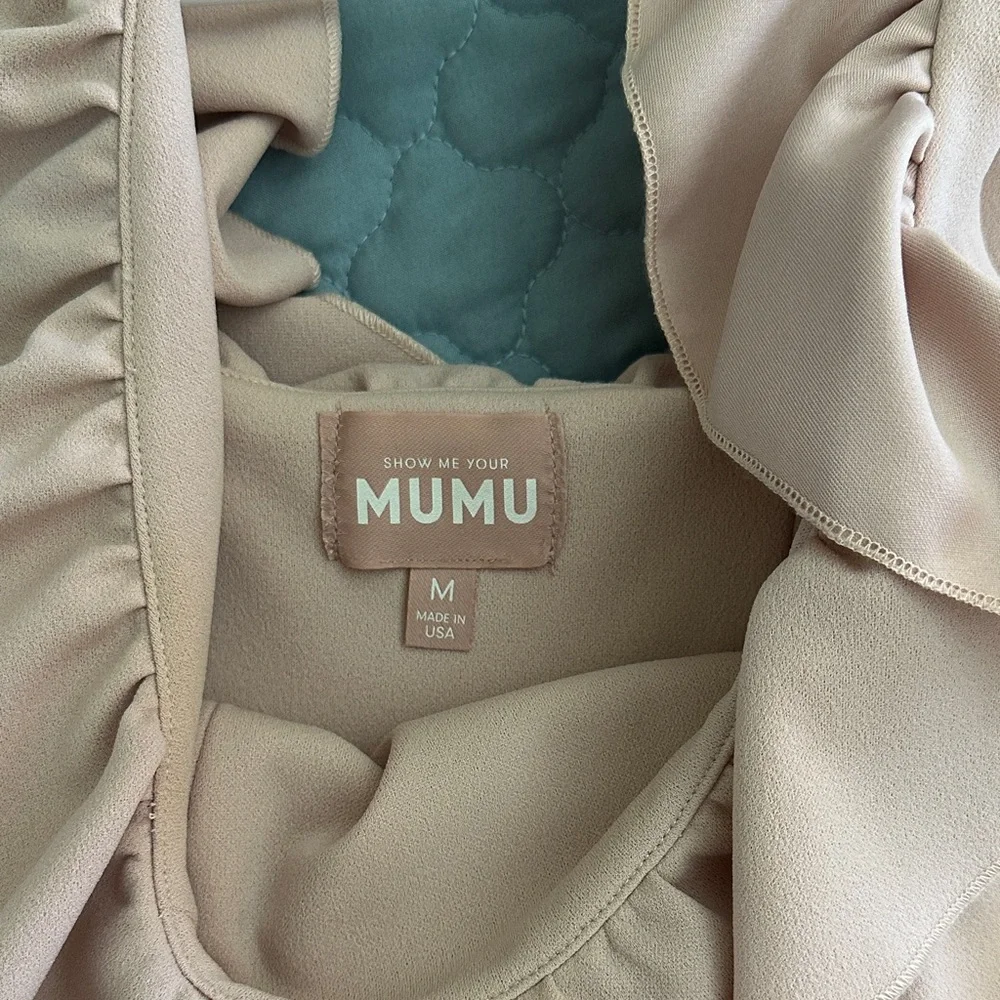 Show Me Your MuMu Ruffled Dress - Picture 3 of 3